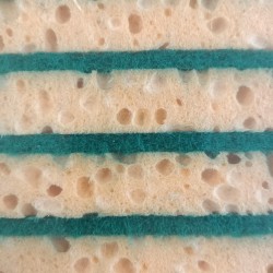 EPONGE DOUBLE FACE NON RAYANT (COQUES DE FRUITS) LOT 10 EPONGES VEGETALE BLONDE NR - GRAND MODELE 120x90x15mm (667812)