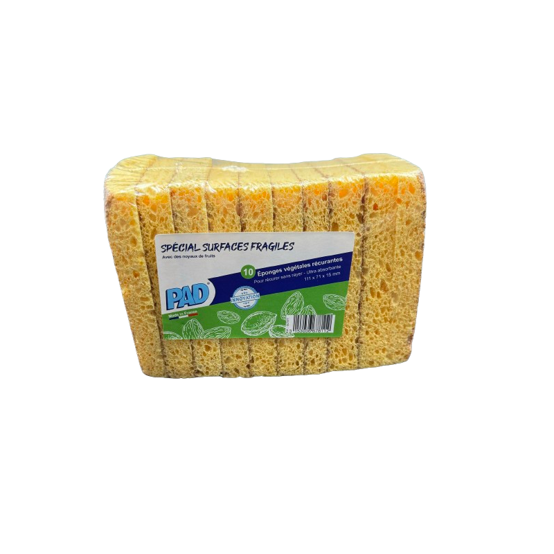 EPONGE DOUBLE FACE NON RAYANT COQUES DE FRUITS (LOT 10)