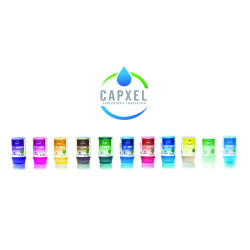 CAPXEL CT SANIT 50ML CONCENTRE SANITAIRE MULTI USAGES ECOLABEL BTE DE 12