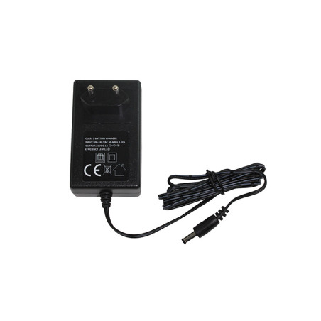 CHARGEUR POUR BATTERIE LITHIUM ION 18V PRO SPRAYER II 