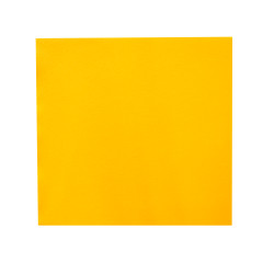 SERVIETTE NON TISSEE VS LOUNGE 40X40 MANDARINE CARTON DE 800