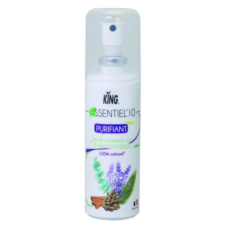 BRUME D'AMBIANCE ASSAINISSEUR ESSENTIEL'10 PURIFIANT KING ECOCERT VAPO 100ML