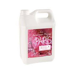 DS5 DETERGENT SURODORANT PRECIEUX SOLS ET SURFACES PH:7 PROPRE ODEUR PARFUM PARIS BIDON DE 5L