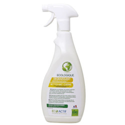 DEGRAISSANT NETTOYANT PH11 ECOLABEL KING VAPORISATEUR DE 750ML
