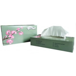 MOUCHOIRS COLIS DE 40 BOITES DE 100