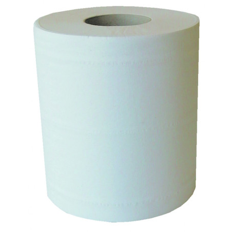 BOBINE 450F DEVIDAGE CENTRAL 137M 20X30CM 2PLIS PURE OUATE LISSE GLOBAL HYGIENE (H213LMR)-LOT DE 6