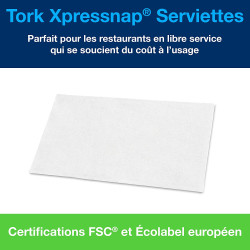 TORK XPRESSNAP®SERVIETTES DE TABLE ENCHEVETREES 1PLIS 21,3X33CM SYSTEME N4 BLANC- CARTON DE 9000