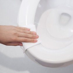 TORK SYSTEME S2 NETTOYANT DESINFECTANT ABATTANT ET SIEGE WC (420302)- CARTON DE 8X485,75G