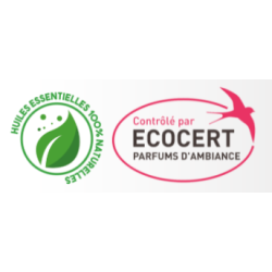 BRUME D'AMBIANCE ASSAINISSEUR ESSENTIEL'10 PURIFIANT KING ECOCERT VAPO 100ML