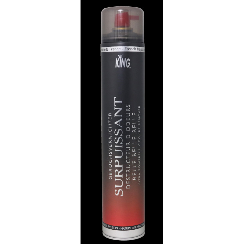 DESTRUCTEUR D'ODEURS SURPUISSANT KING PARFUM BELLE BELLE BELLE AEROSOL DE 750ML