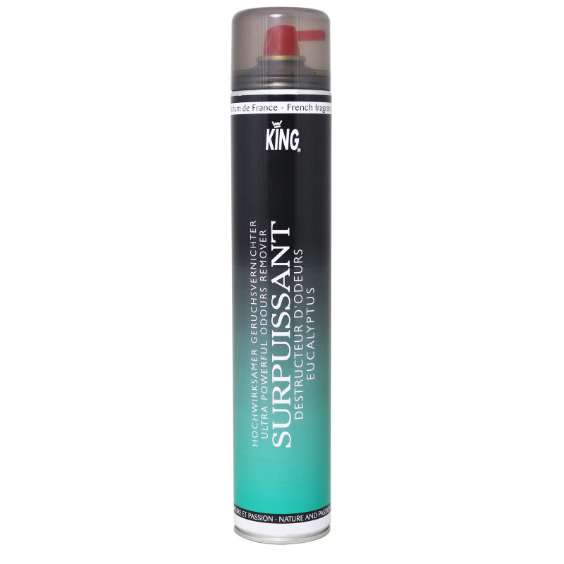 DESTRUCTEUR D'ODEURS SURPUISSANT KING PARFUM EUCALYPTUS AEROSOL DE 750ML