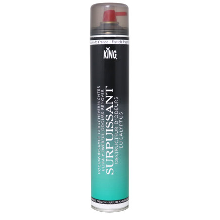 DESTRUCTEUR D'ODEURS SURPUISSANT KING PARFUM EUCALYPTUS AEROSOL DE 750ML