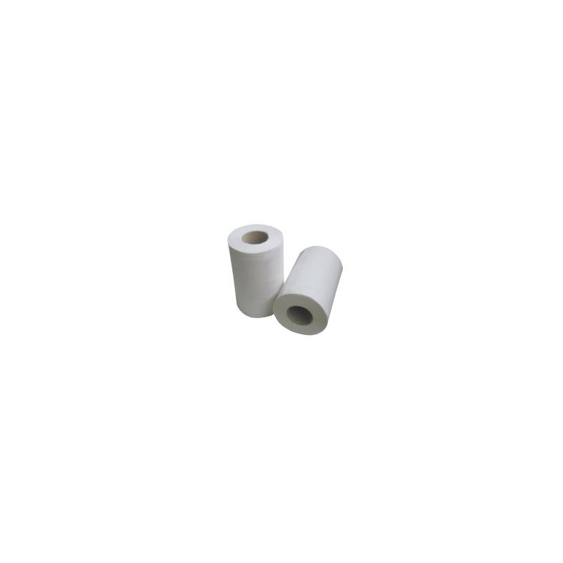 BOBINE 160F MINI 48M 20X30CM 2PLIS GAUFRE BLANC (H108POT)-LOT DE 12