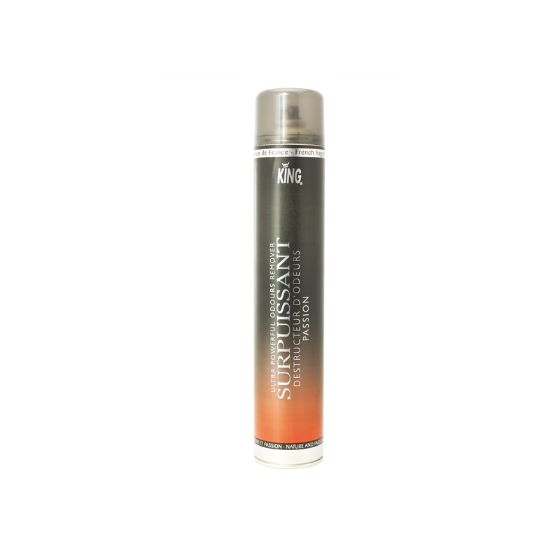 DESTRUCTEUR D'ODEURS SURPUISSANT KING PARFUM PASSION AEROSOL DE 750ML