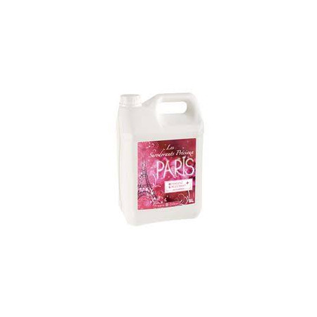 DS5 DETERGENT SURODORANT PRECIEUX SOLS ET SURFACES PH:7 PROPRE ODEUR PARFUM PARIS BIDON DE 5L