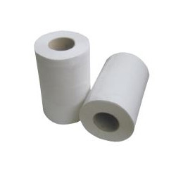 BOBINE 160F MINI 48M 20X30CM 2PLIS GAUFRE BLANC (H108POT)-LOT DE 12